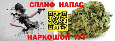 сатива Краснознаменск