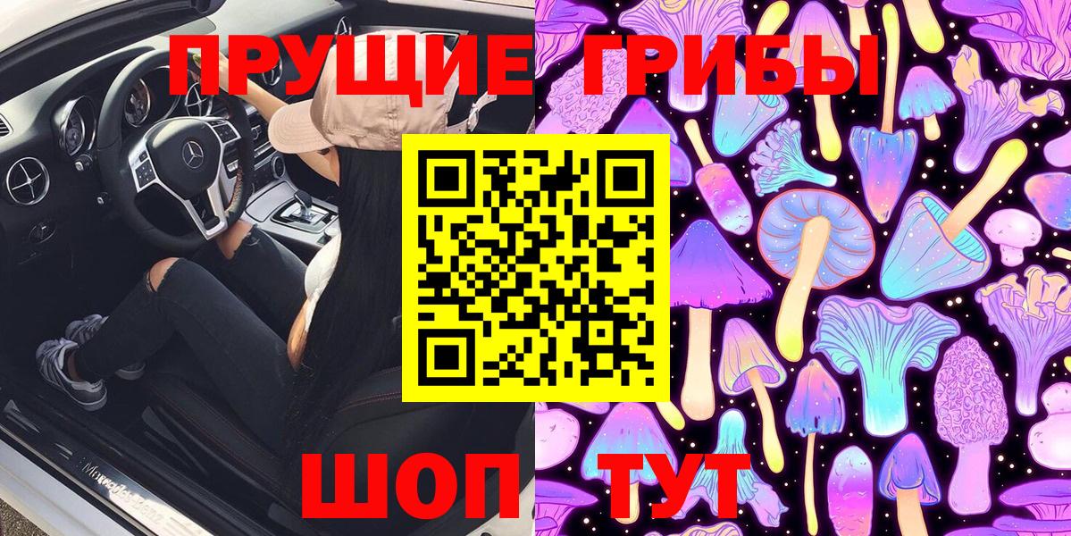 Красный Сулин  Псилоцибиновые грибы Psilocybe  Вход с VPN 